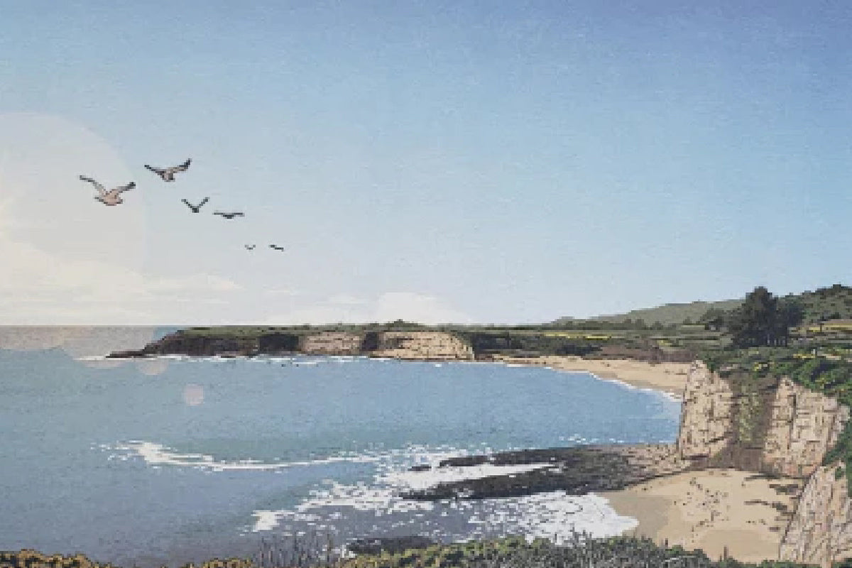 Posters and Art – Friends of Santa Cruz State Parks Online ParkStore