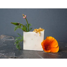 Load image into Gallery viewer, Wilder Ranch State Park Soap
