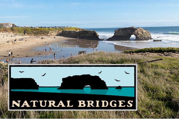 Natural Bridges State Beach