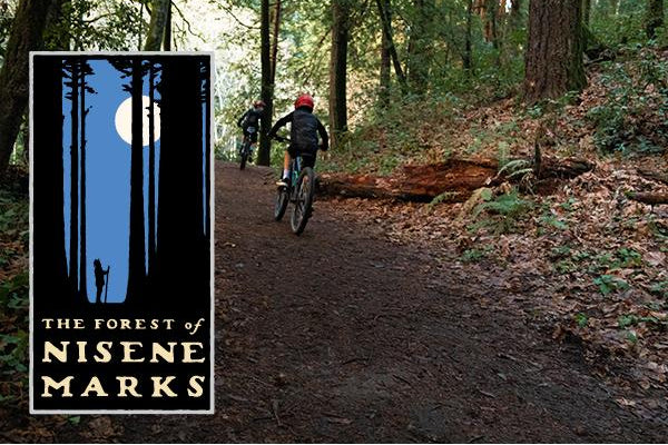 The Forest of Nisene Marks State Park