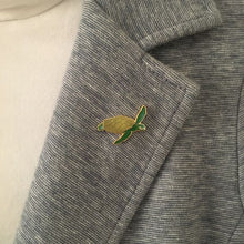 Load image into Gallery viewer, Wildlife Pin - Green Sea Turtle
