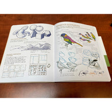Load image into Gallery viewer, The Laws Sketchbook for Nature Journaling
